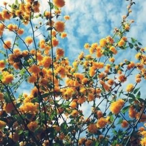 Meet your Posher, Keely